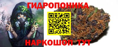 гидра Партизанск
