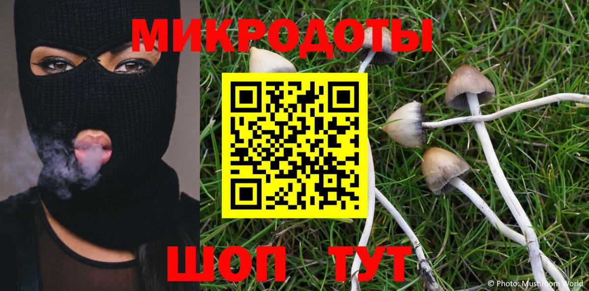Псилоцибиновые грибы ЛСД  Галлюциногенные грибы Psilocybe  Вход с VPN  Тавда 
