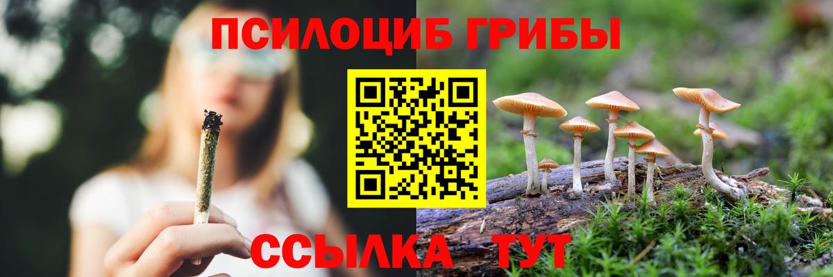 Псилоцибиновые грибы GOLDEN TEACHER Тавда